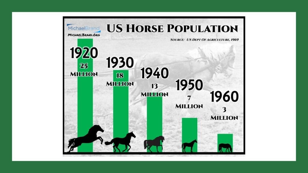 Decline Of The Horse